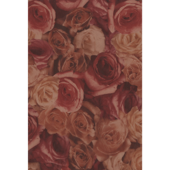 Décopatch 3 identiek-e...