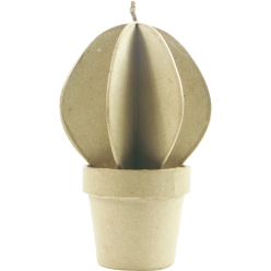 Cactus bolvormig-/ St.