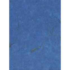 Banane papier10bl 65x95cm...