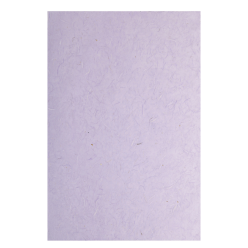 Moerbei papier10bl 65x95cm...