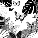 Adult colouring bk,3-6P 20x20cm,Butterfly/ Pc.