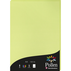 Pollen Card 120g A4 x50/ Pc.