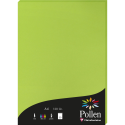 Etui de 50 feuilles Pollen 210x297mm 120g/m2/ Pce