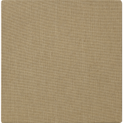 Canvas karton transp-arant...