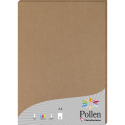 Etui de 25 feuilles Pollen 210x297 210g/m2/ Pce