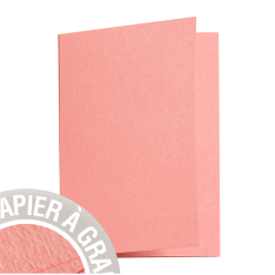 Paquet de 25 cartes double...