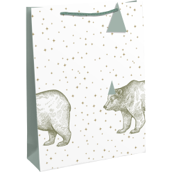 Paquet de 25 cartes double...