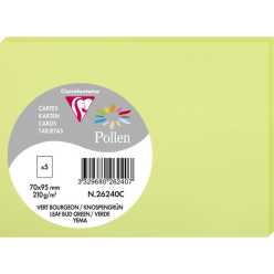 Clairefontaine Pollen Card...