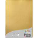 Etui de 25 feuilles Pollen 210x297 210g/m2/ Pce