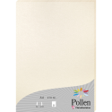 Etui de 25 feuilles Pollen 210x297 210g/m2/ Pce