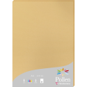 Pollen 210x297mm 210gsm sheet packed 25s/ Pc.