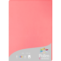 Pollen 210x297mm 210gsm sheet packed 25s/ Pc.