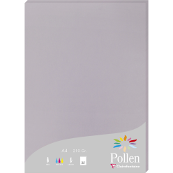 Etui de 25 feuilles Pollen...