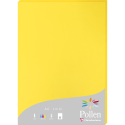 Pollen pk25 blad 210g210x297 zon-/ St.