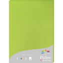 Pollen pk25 blad 210g210x297 munt-/ St.