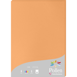Pollen 210x297mm 210gsm...