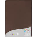 Pollen 210x297mm 210gsm sheet packed 25s/ Pc.