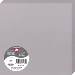 Pollen Card Folded 160x160...