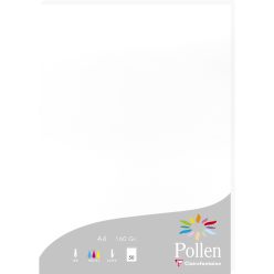 Etui 50B Pollen 210x297...