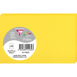 Paquet de 25 cartes simples...