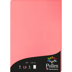 Pollen Card 120g A4 x50/ Pc.