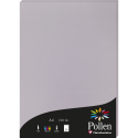 Etui de 50 feuilles Pollen 210x297mm 120g/m2/ Pce