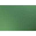 Carta 10 blad 270g 50x65cm empire-270g 50x65 imp.groen/ St.