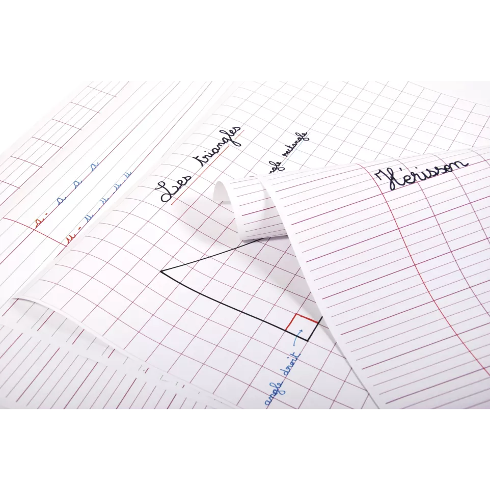 Paquet 25F Séyès 60x80cm/ Pc.