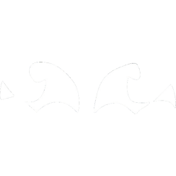 CARTON HOLOGRAPHIQUE,...