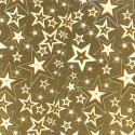 Carte hollographique, sachet de 10F ass (5 coul), 35x50cm, 195g/m2/ Pc.
