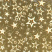 Carte hollographique, sachet de 10F ass (5 coul), 35x50cm, 195g/m2/ Pc.