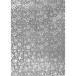 Carte hollographique, sachet de 10F ass (5 coul), 35x50cm, 195g/m2/ Pc.