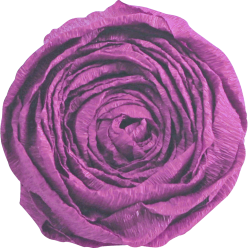 Crêpepapier 60% 10bl-...