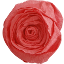 Crêpepapier 60% 10bl- 2,50x0,50mm zalm/ St.