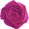 Crêpepapier 60% 10bl- 2,50x0,50mm purper/ St.