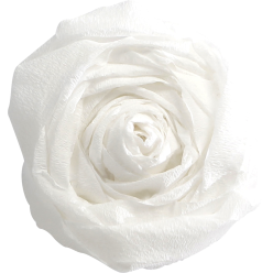 PAPIER CRÉPON, Paquet de 10...