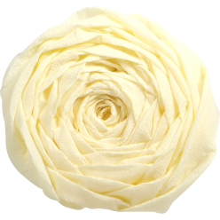 PAPIER CRÉPON, Paquet de 10...