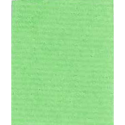 Kraft couleur 65g,rl 3x0,70m Vert pâle/ Pce