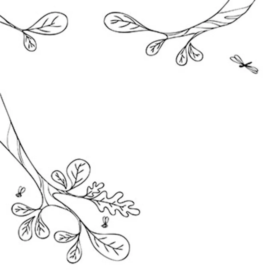 * Stampi' Mouss, Fairies/ Pc.