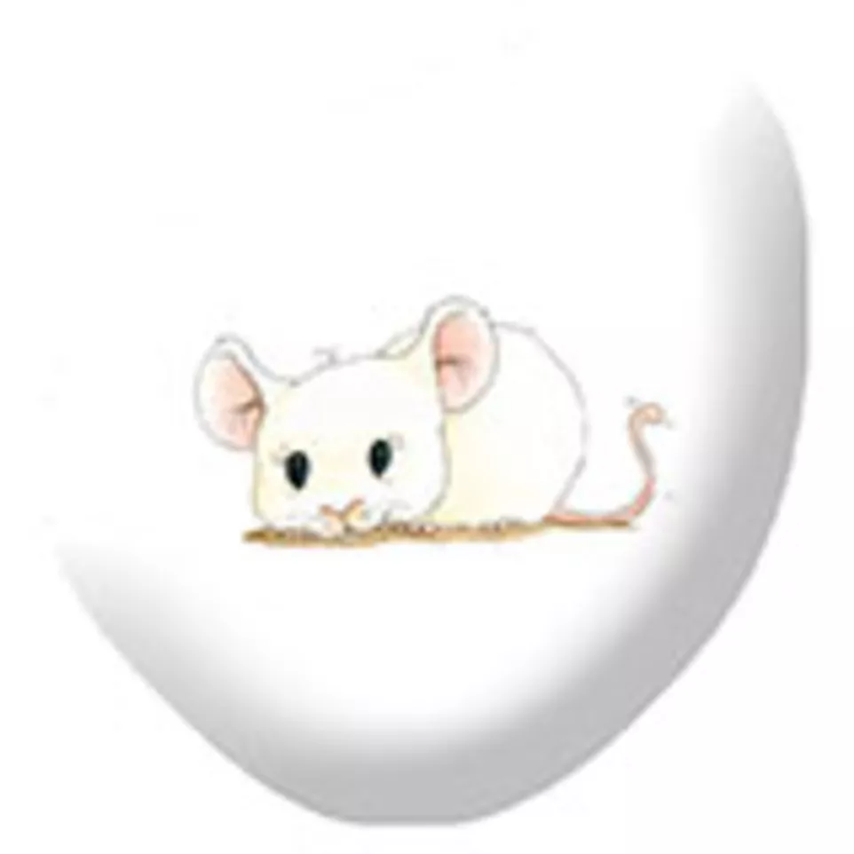 Loto, Animaux Familiers/ Pce