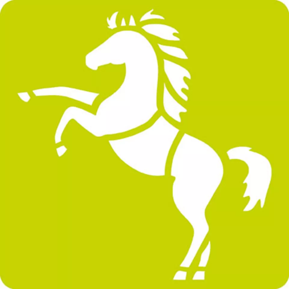 Set of 6 children's stencils, Horses/...