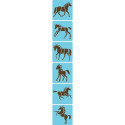Set 6 sjablonen, Paarden-/ St.