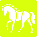 Set 6 sjablonen, Paarden-/ St.