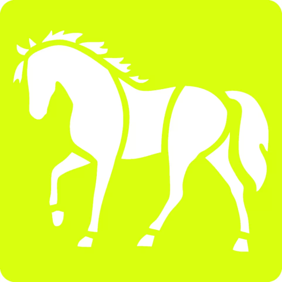 Set of 6 children's stencils, Horses/...
