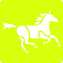 Set of 6 children's stencils, Horses/ Pc.