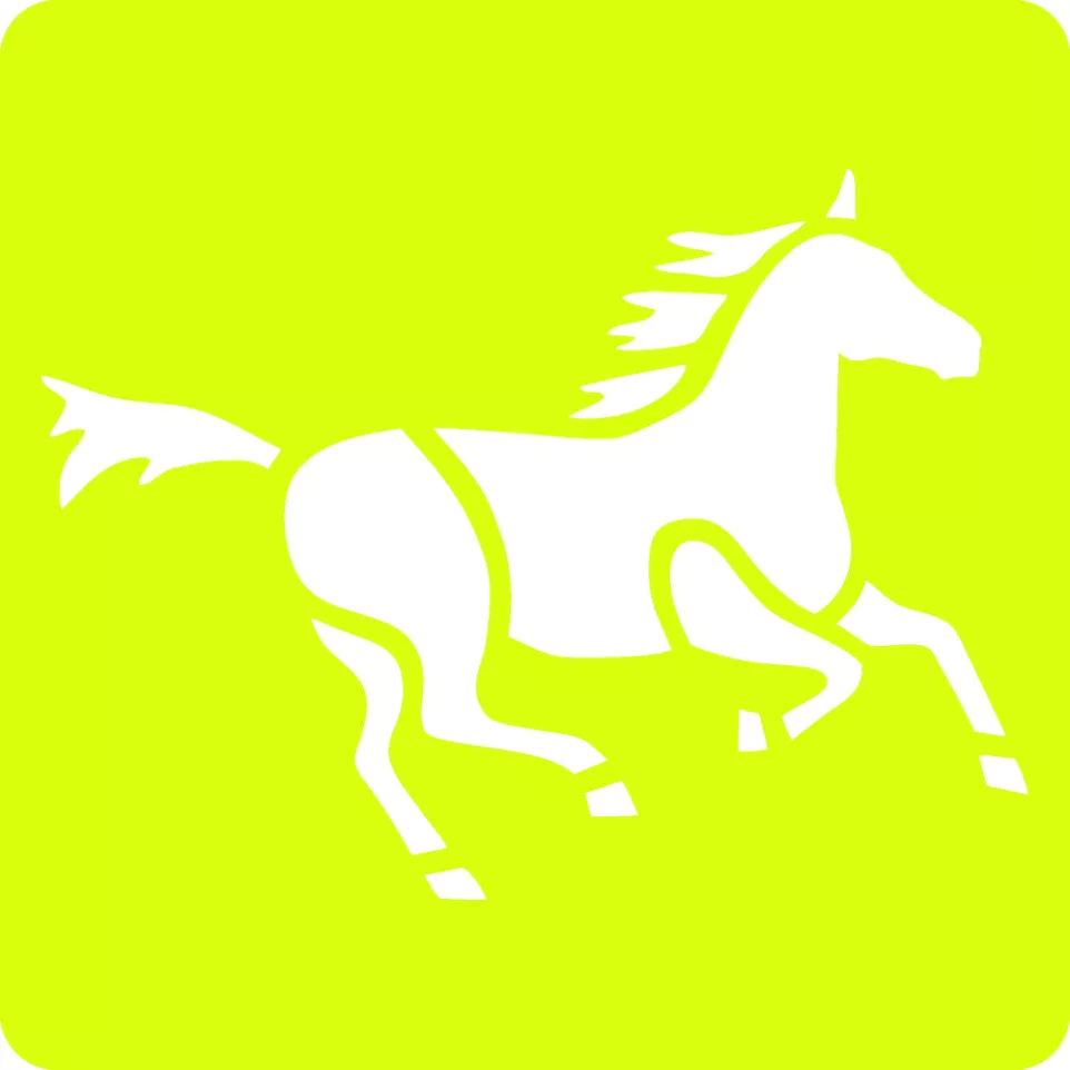 Set of 6 children's stencils, Horses/...