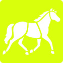 Set 6 sjablonen, Paarden-/ St.