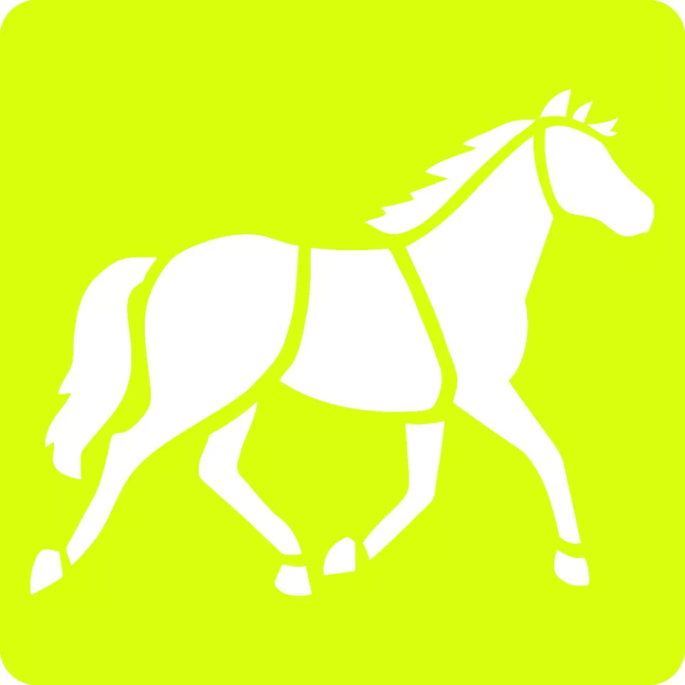Set of 6 children's stencils, Horses/...
