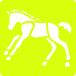 Set 6 sjablonen, Paarden-/ St.