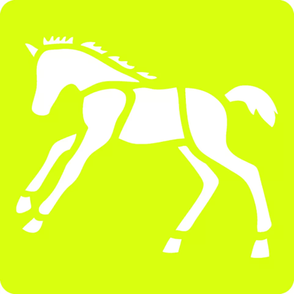 Set 6 sjablonen, Paarden-/ St.